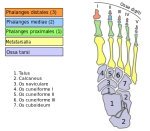 toe-joint-pain-relief-7