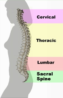 Middle Back Pain Relief 1 
