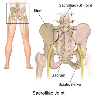 sacroiliac-joint-4