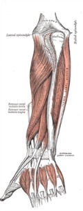 Thumb Joint Pain Relief